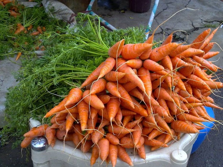 produtos orgânicos em SP